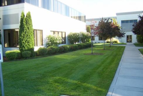 Office complex with freshly mowed lawn in Renton